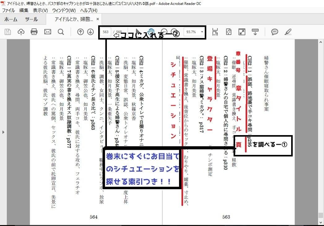 アイドルとか、婦警さんとか、バスケ部のキャプテンとかが四十路おじさん達にハメハメパコパコされる話 サンプル 2