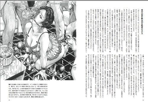 続・羞弄の淫鎖 浣腸に負けた社長夫人 蓉子 ［嬲り絵物語2］ サンプル 2