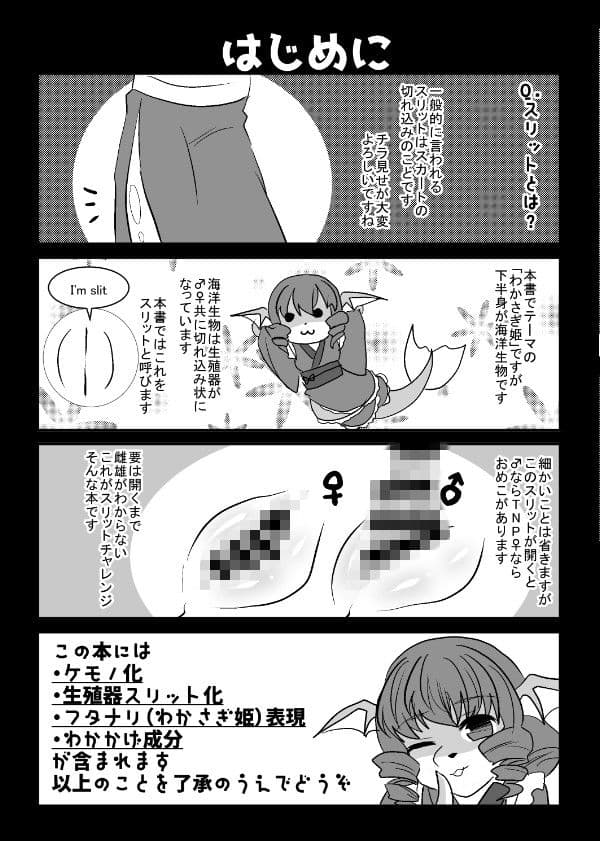 わかさぎスリットチャレンジ サンプル 1