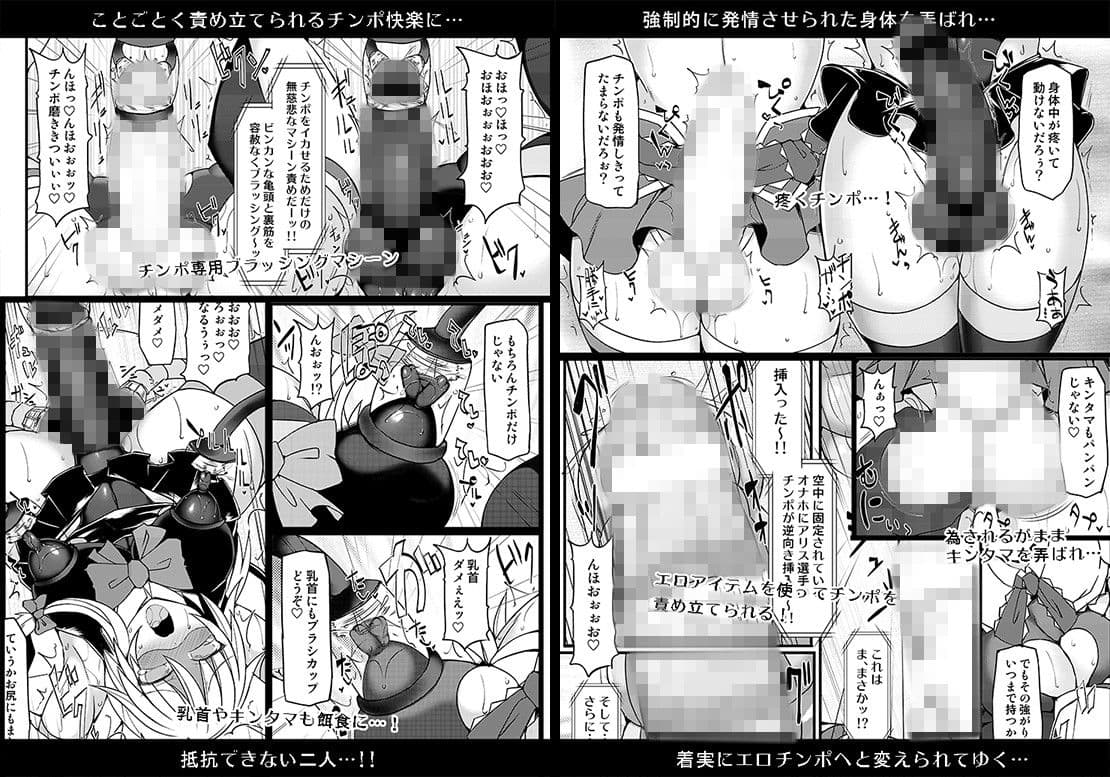 幻想郷フタナリチンポレスリング9 アリス＆魔理沙VSにとり＆雛 サンプル 2