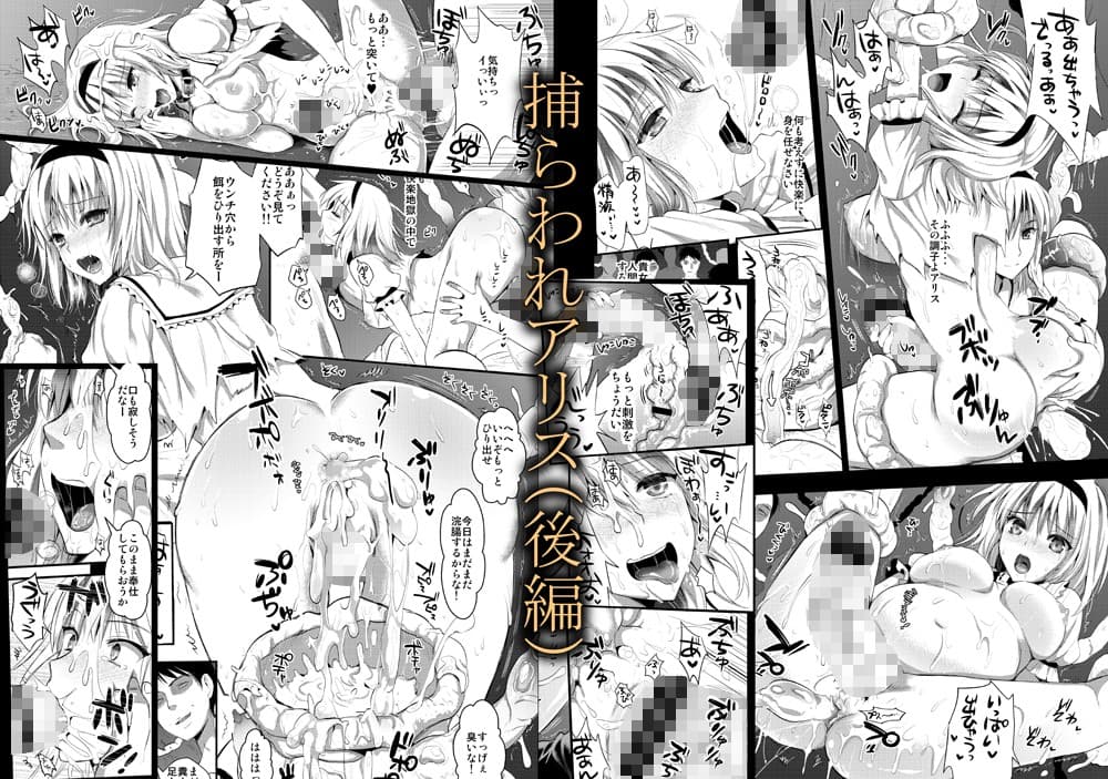 捕らわれアリス 糞肉便器(後編) サンプル 2