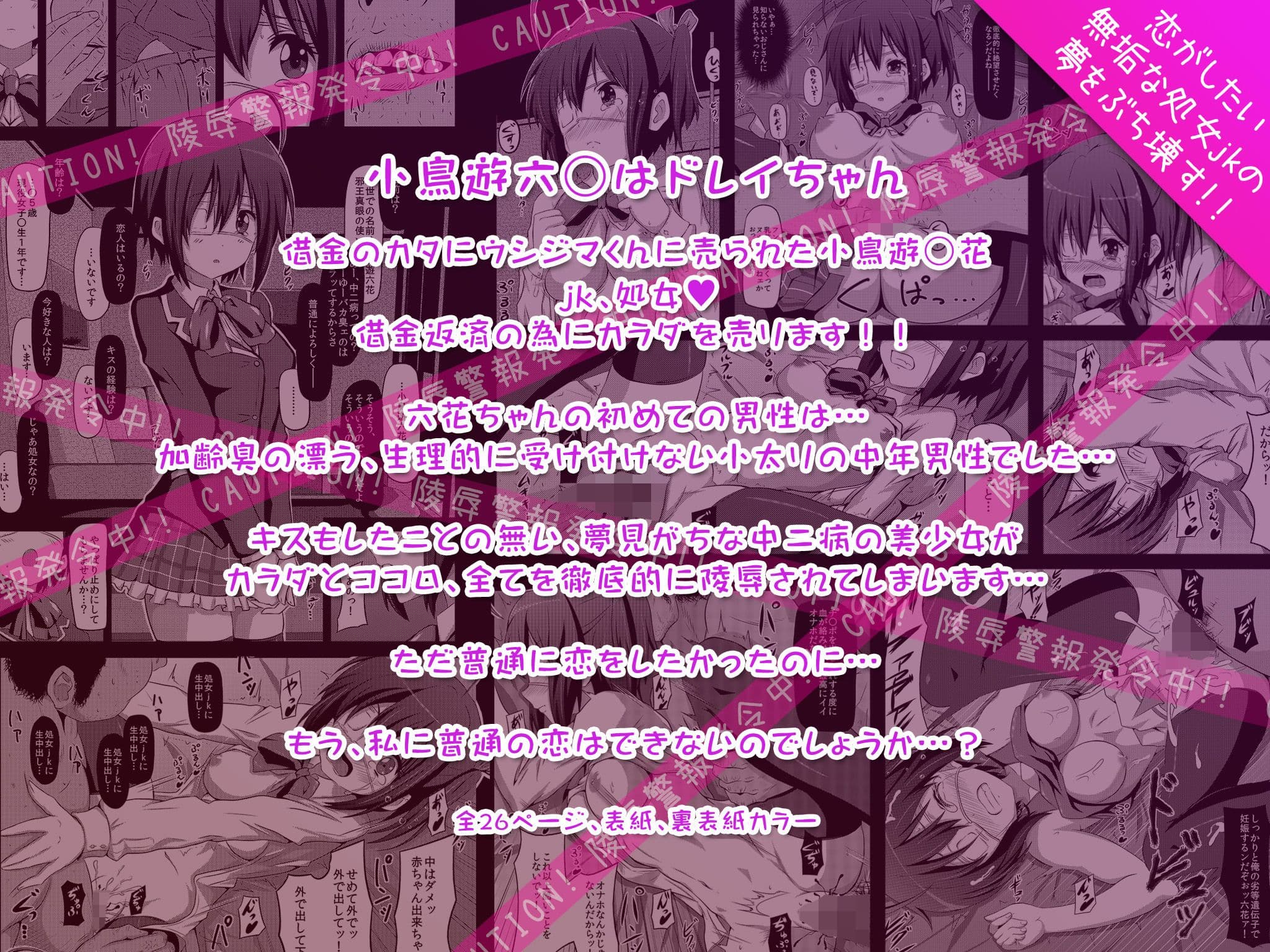 少女達の絶望 ドレイちゃんとなったヒロイン達 サンプル 2