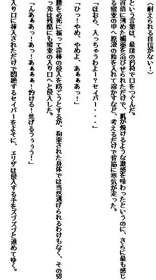 Saber slave サンプル 1