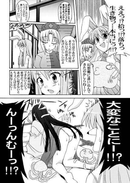 幻想郷探訪録番外編弐 サンプル 4