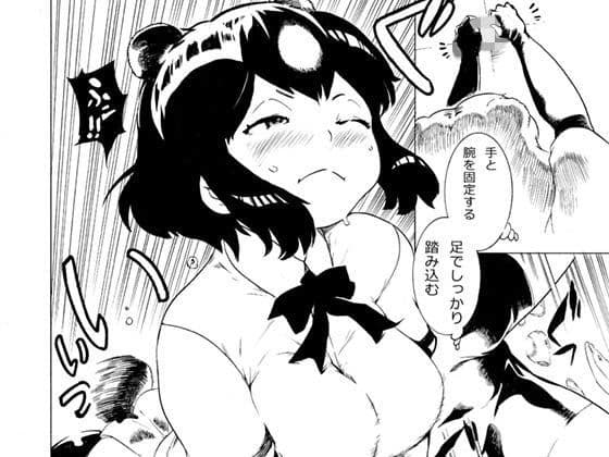 じゃぱりれがしー