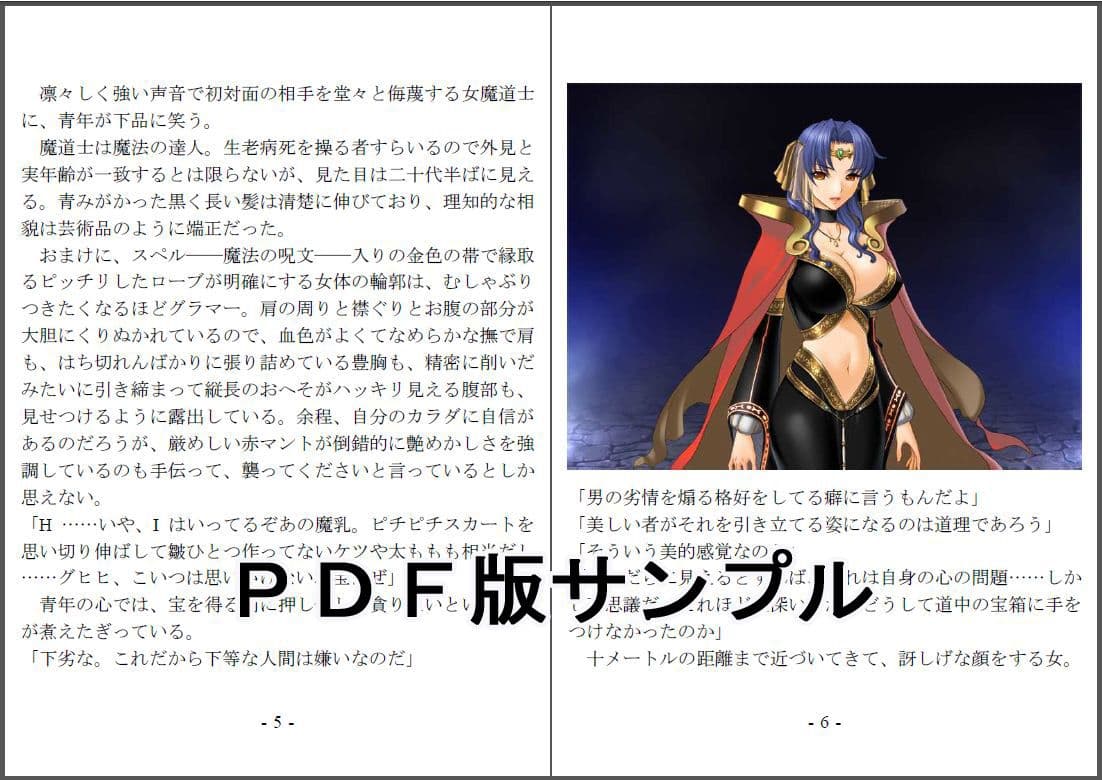 おい女魔道士、いれていいよな サンプル 4