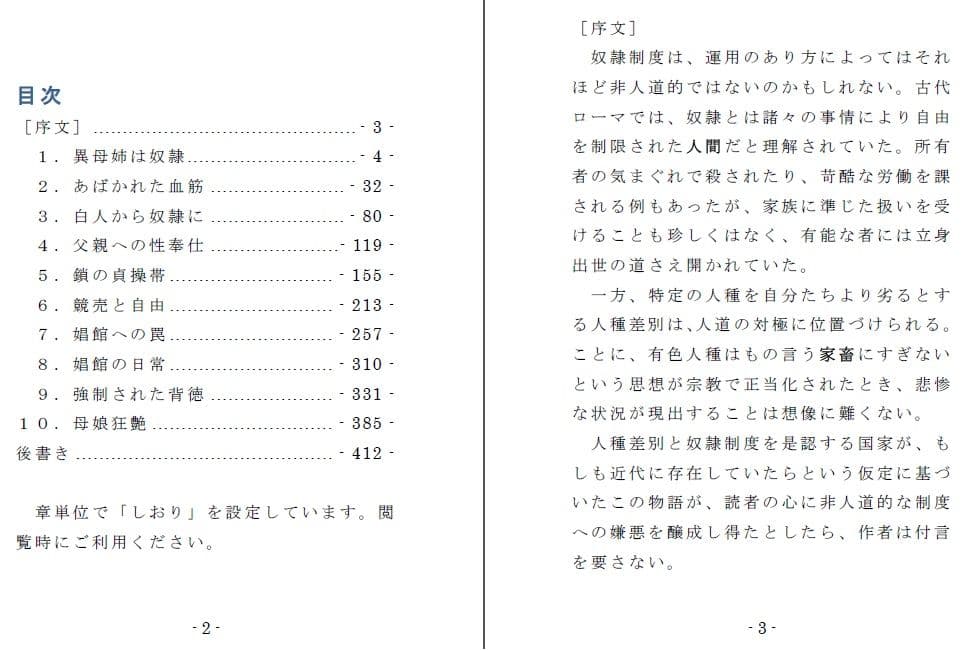 1/16の牝奴● サンプル 2