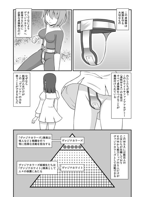 貞操戦隊ヴァジナカラーズ 第一話 サンプル 1