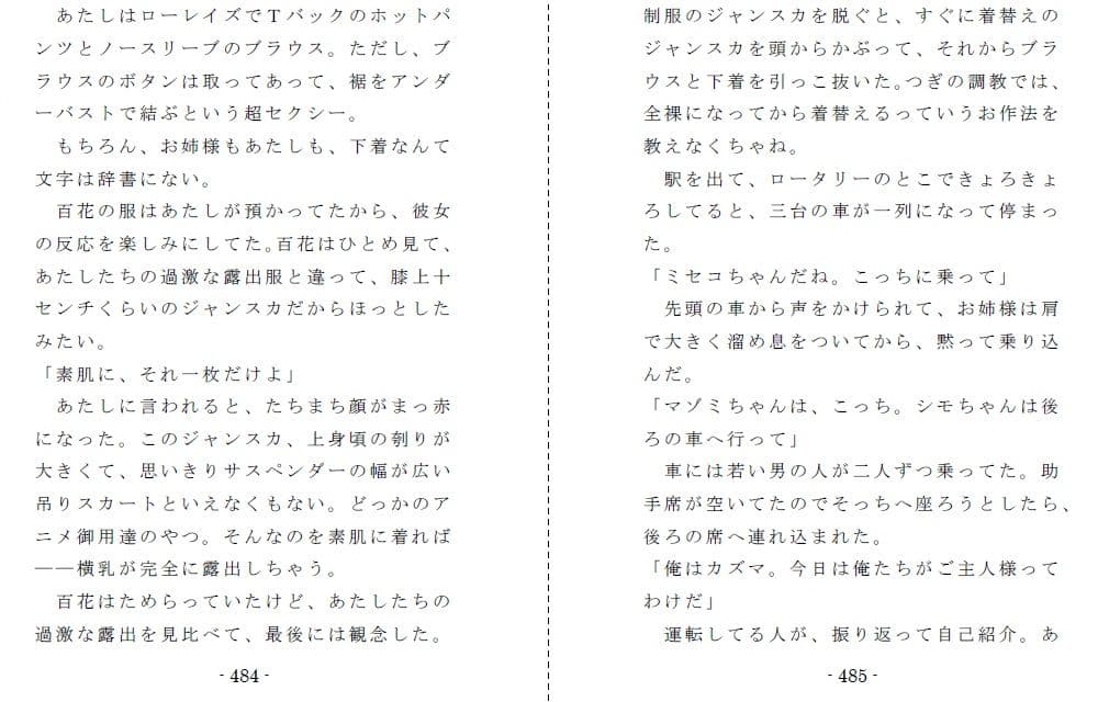 縄と鞭の体育補習 サンプル 6