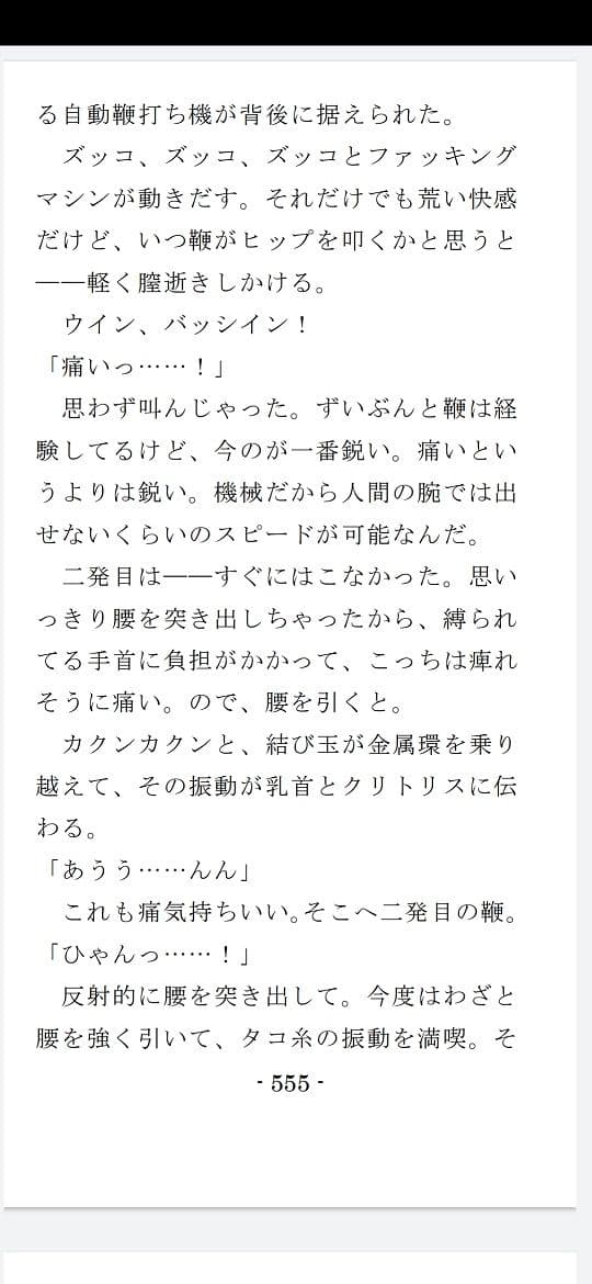 縄と鞭の体育補習 サンプル 7