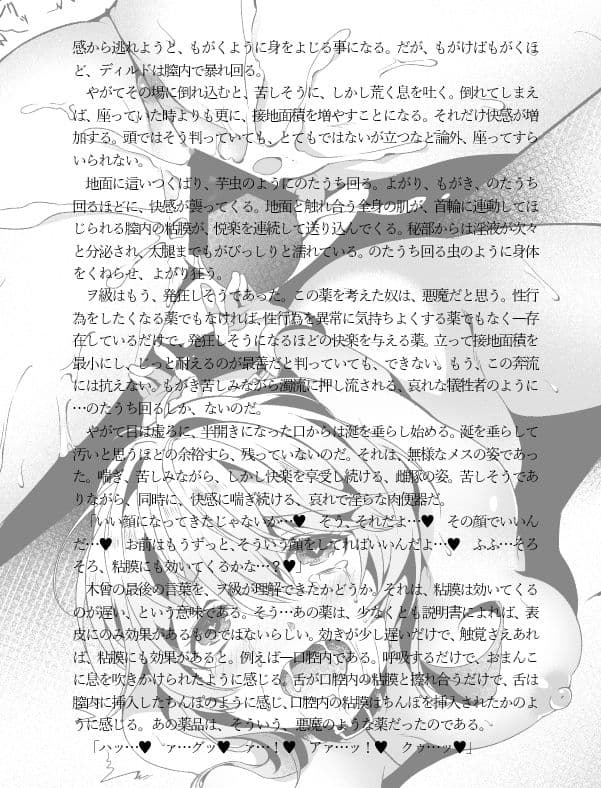 嗜虐の艦隊 南洋の虜囚 サンプル 4