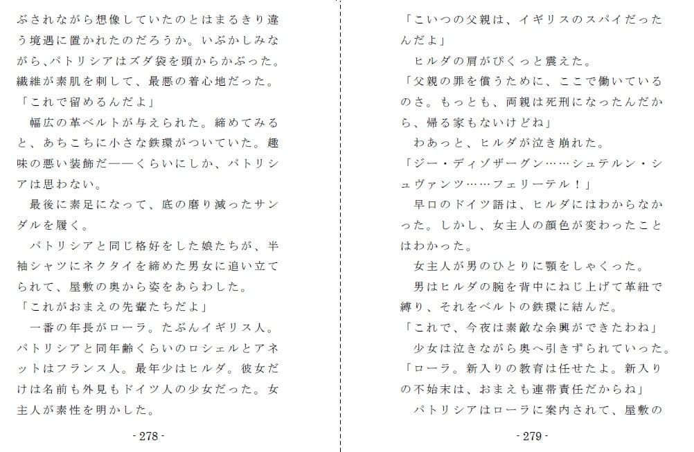 ヒロイン戦記短編集 サンプル 5