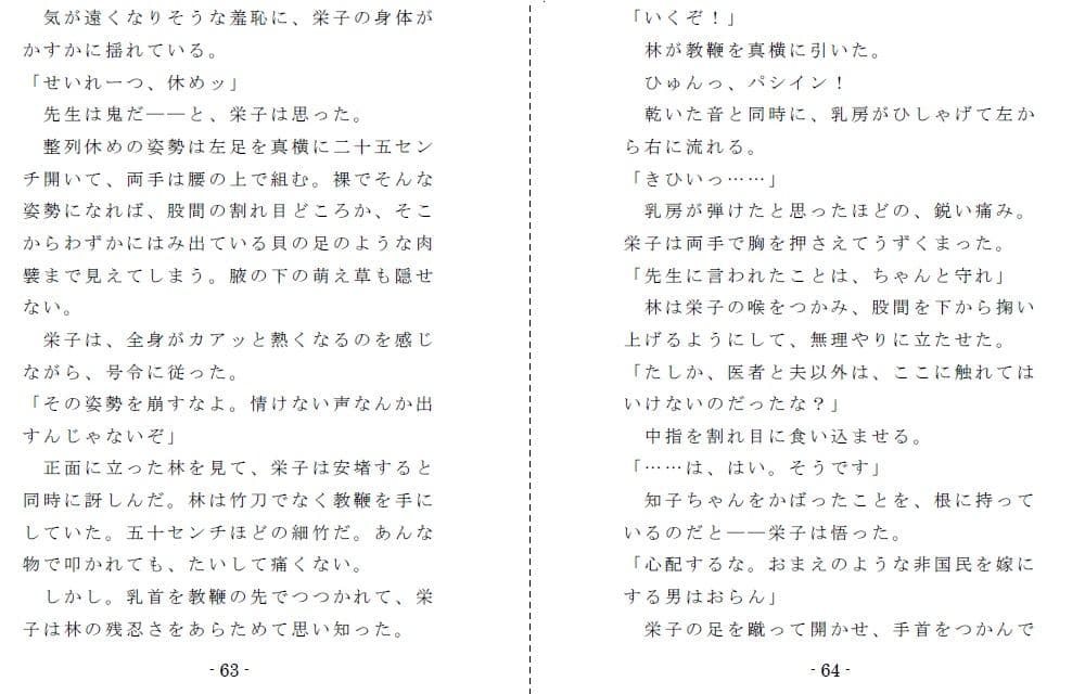 非国民の烙淫:前編（強●露出と娼婦教育） サンプル 4