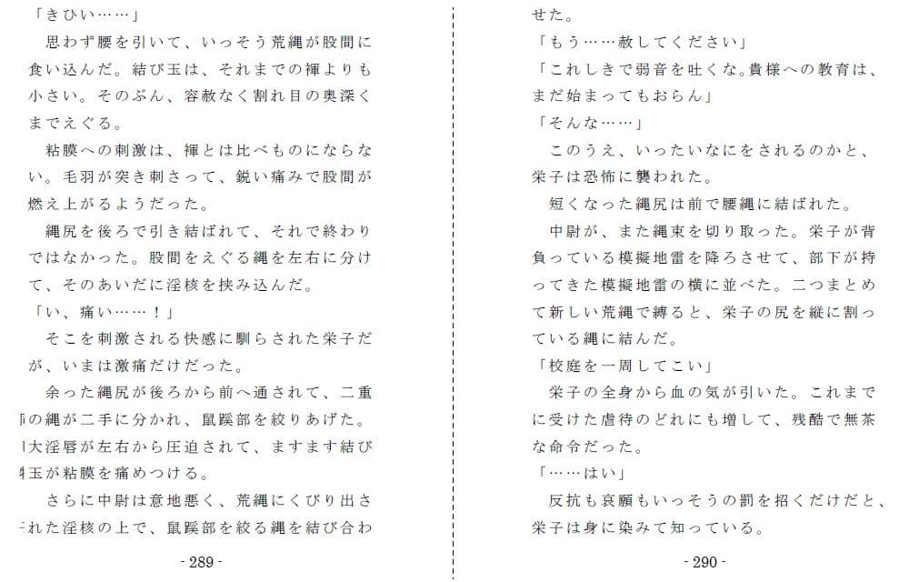 非国民の烙淫:前編（強●露出と娼婦教育） サンプル 5
