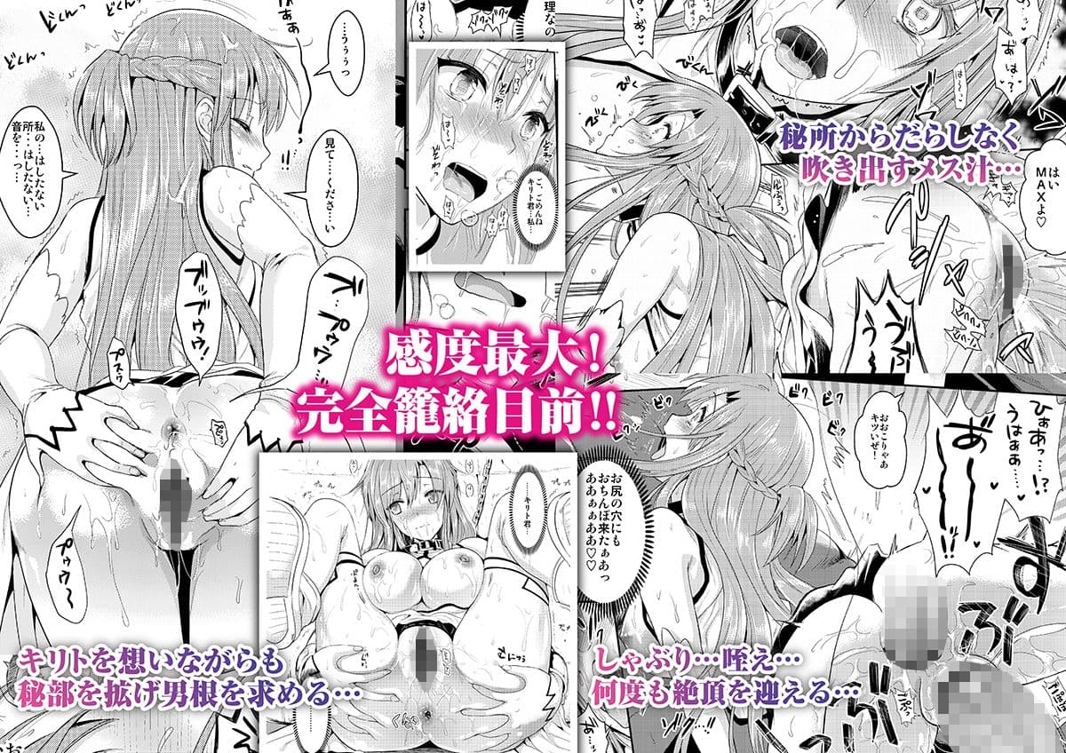 アナル奴●II〜非公式ギルドの性奴●へと堕ちたアスナ〜 サンプル 2