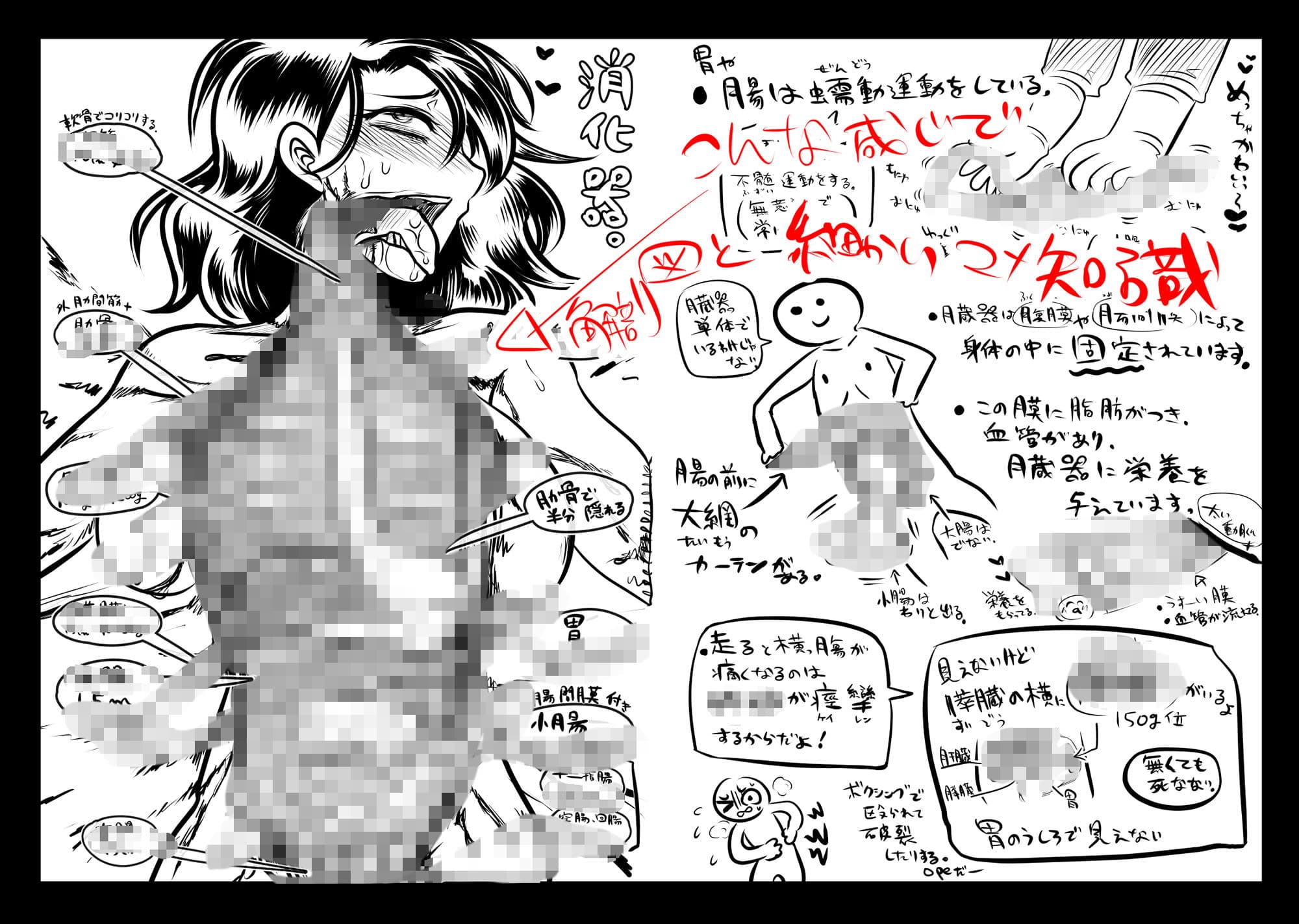 リョナラーの為の解剖生理! サンプル 2