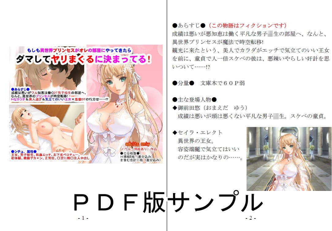 もしも異世界プリンセスがオレの部屋にやってきたら、ダマしてヤリまくるに決まってる サンプル 1