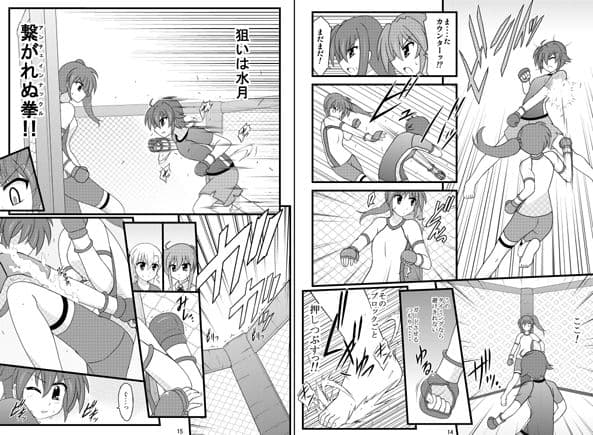 リリカルファイト!!総集編 サンプル 2