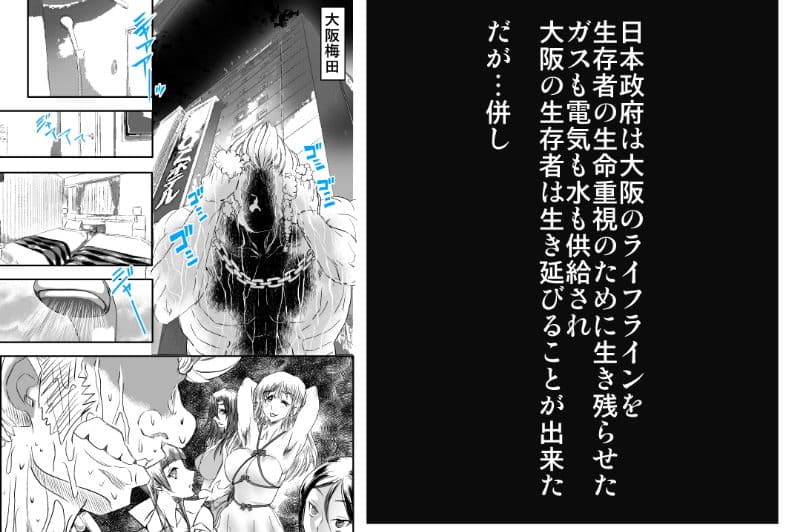 シャレーダーD02 サンプル 4