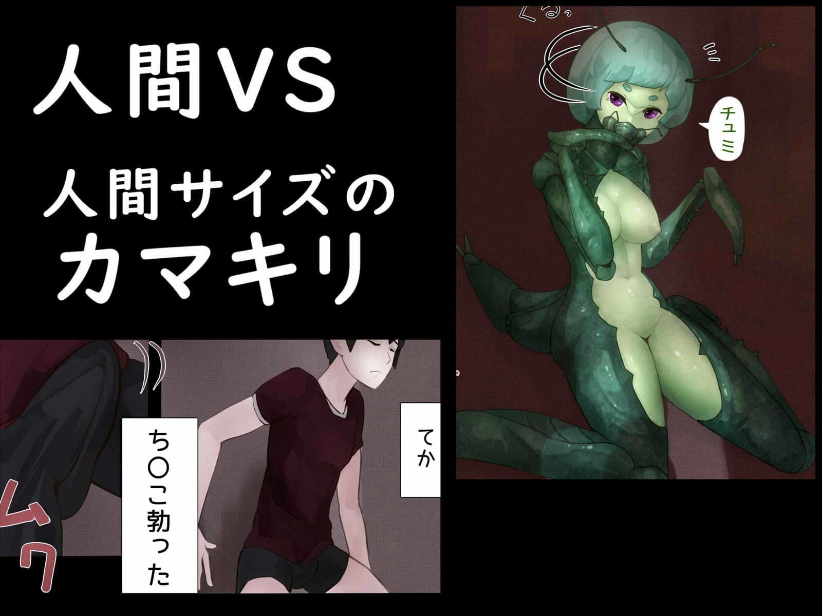 カマキリとせっくす ーヒト化ウイルス感染報告記録ー サンプル 1