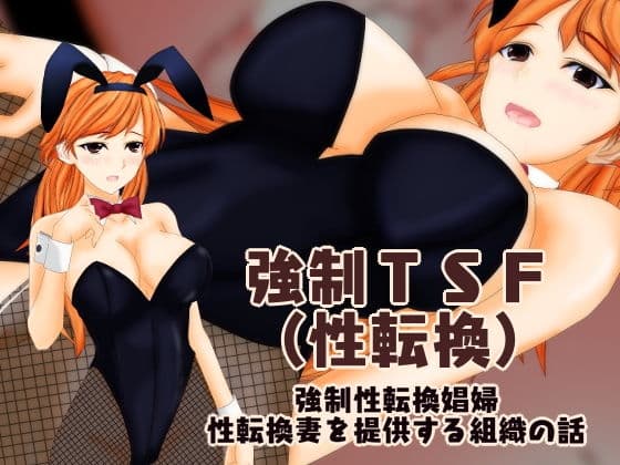 強●TSF（性転換） 強●性転換娼婦・性転換妻を提供する組織の話