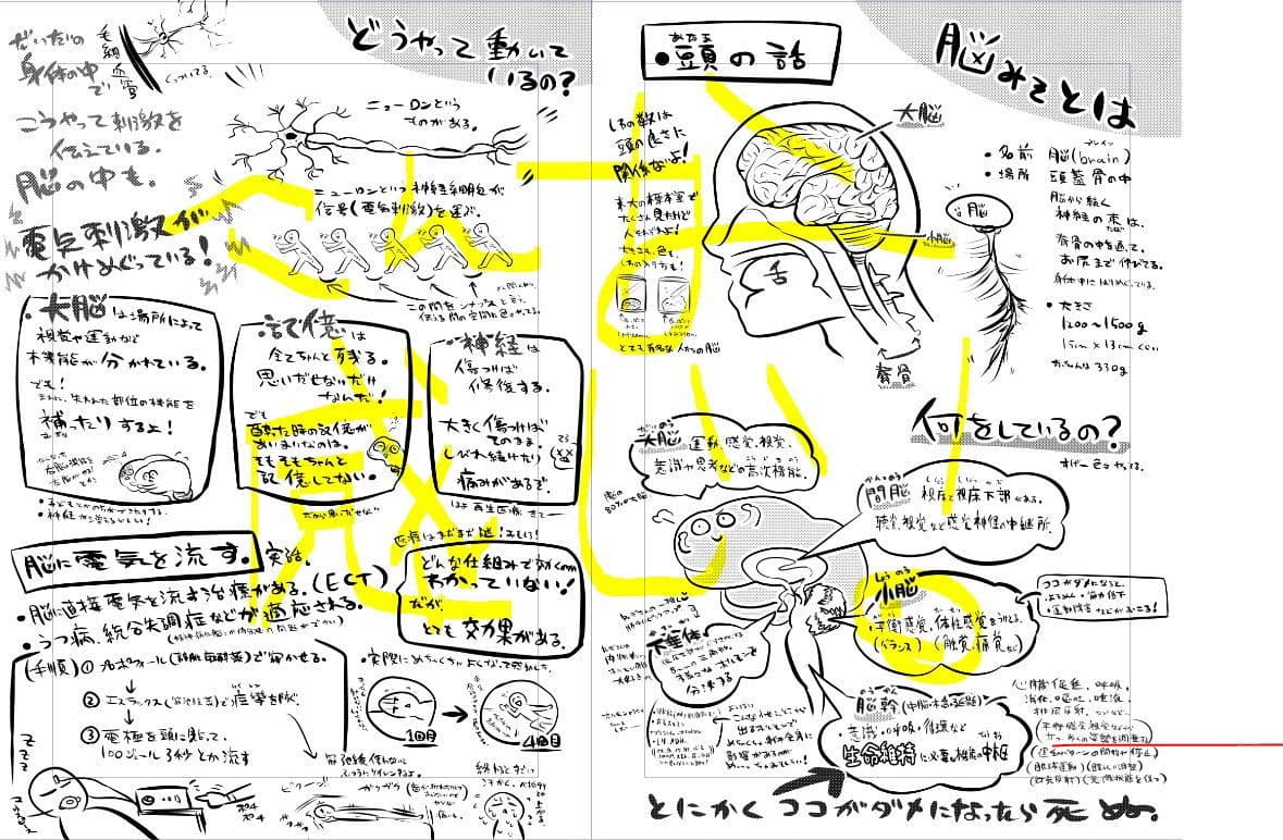 みんなのための解剖生理 サンプル 4