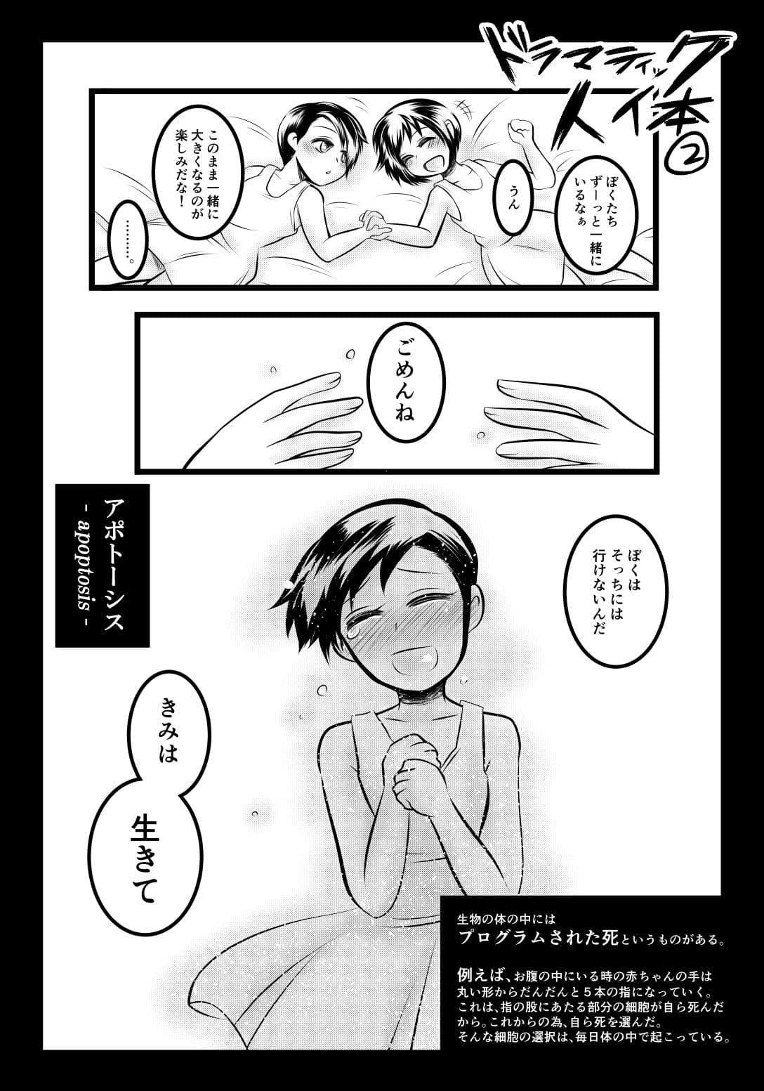 みんなのための解剖生理 サンプル 5