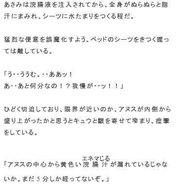 エネマの生贄 宗教法人にさらわれた美人妻 サンプル 8