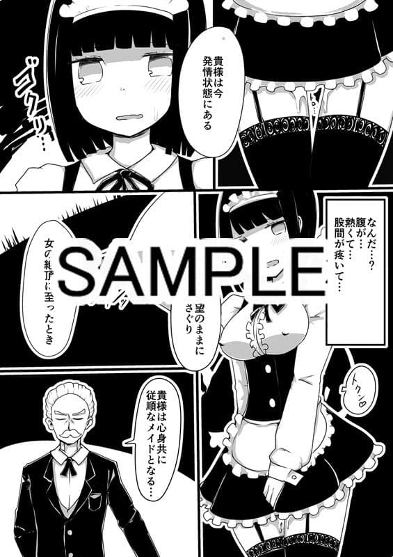 メイドの皮 サンプル 2