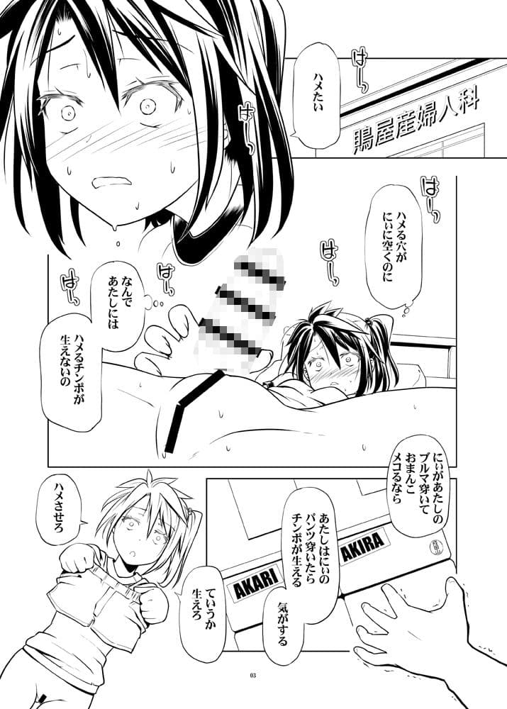 あきらちゃんとあかりちゃんは変態双子concept サンプル 1