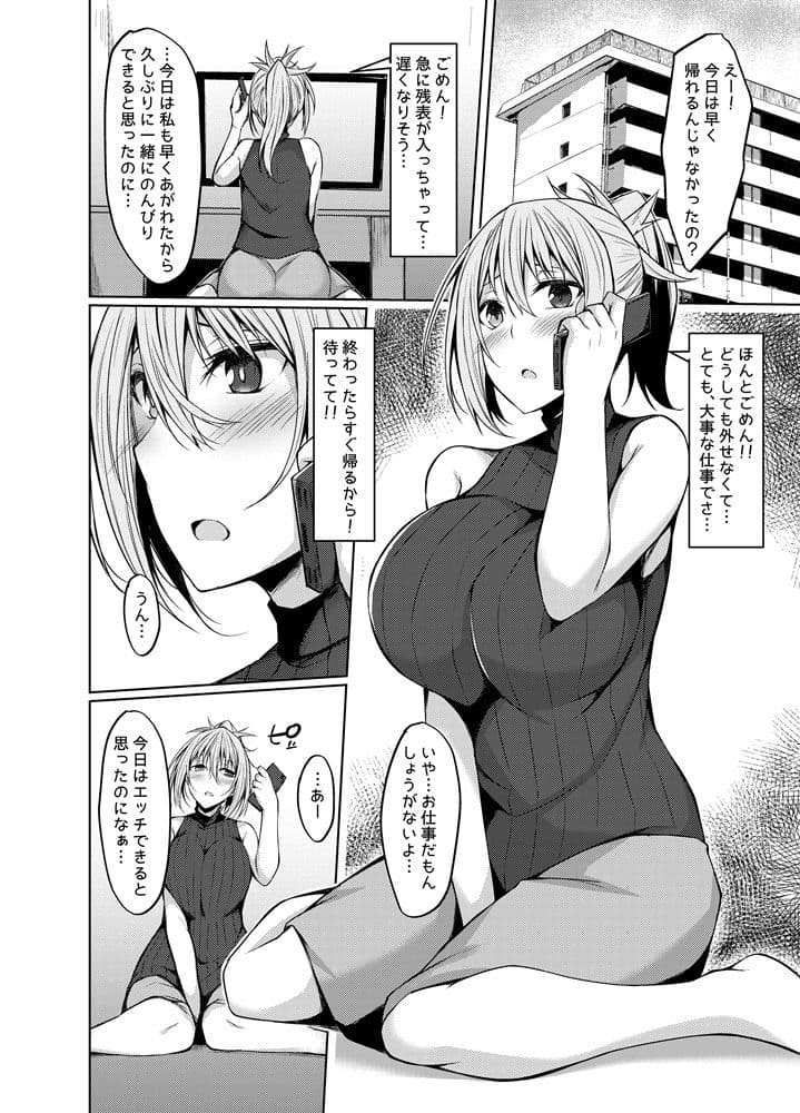 PROVISIONAL NAME Aki story サンプル 1