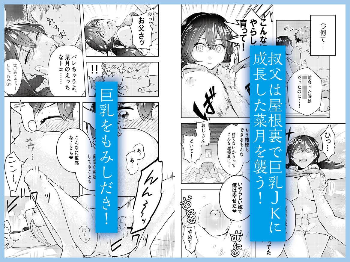 巨乳JKシリーズ 1 菜月の夏休み サンプル 2