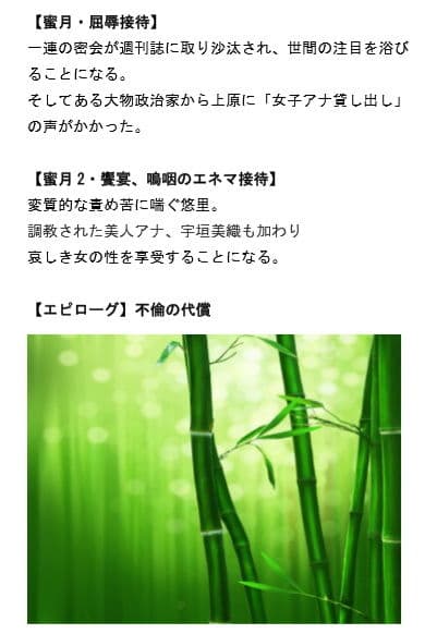 女子アナ密会 〜生々しき熱を帯びた竹林〜 サンプル 8