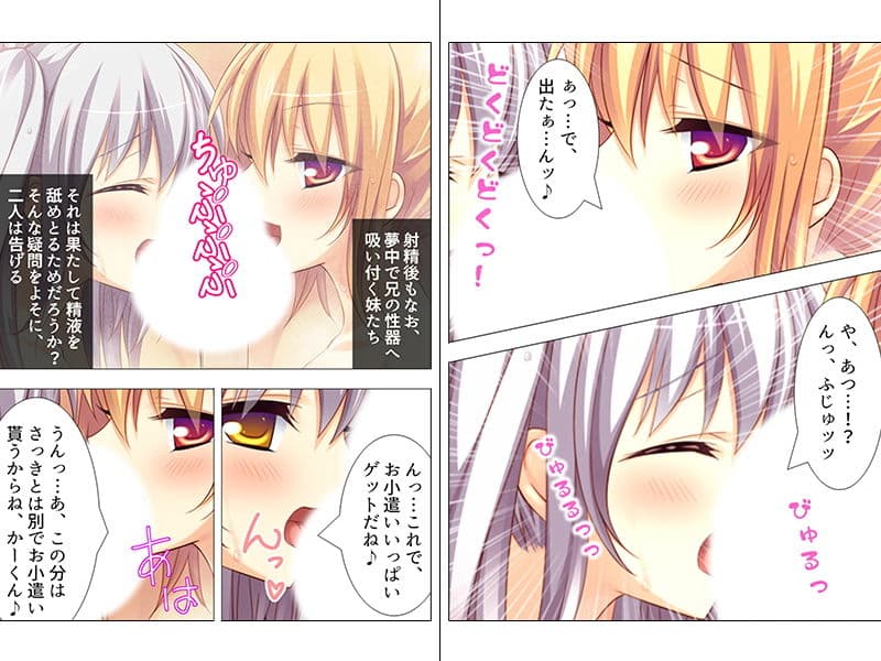 ゲームで勝たせてくれない意地悪お兄ちゃんにHな交渉 上 サンプル 2