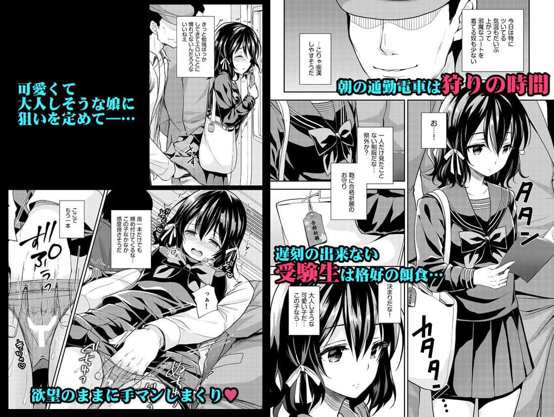 恥辱の痴○電車2〜狙われた受験生〜 サンプル 1