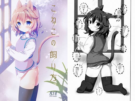 こねこの飼い方