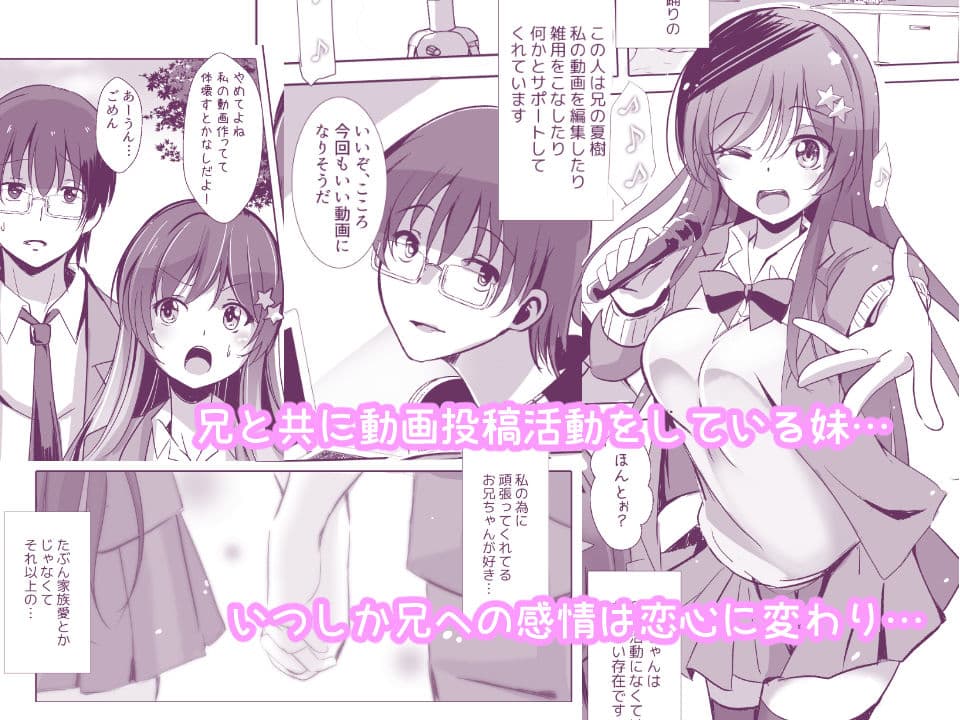 お兄ちゃんの知らない私の性奴●日記 サンプル 1