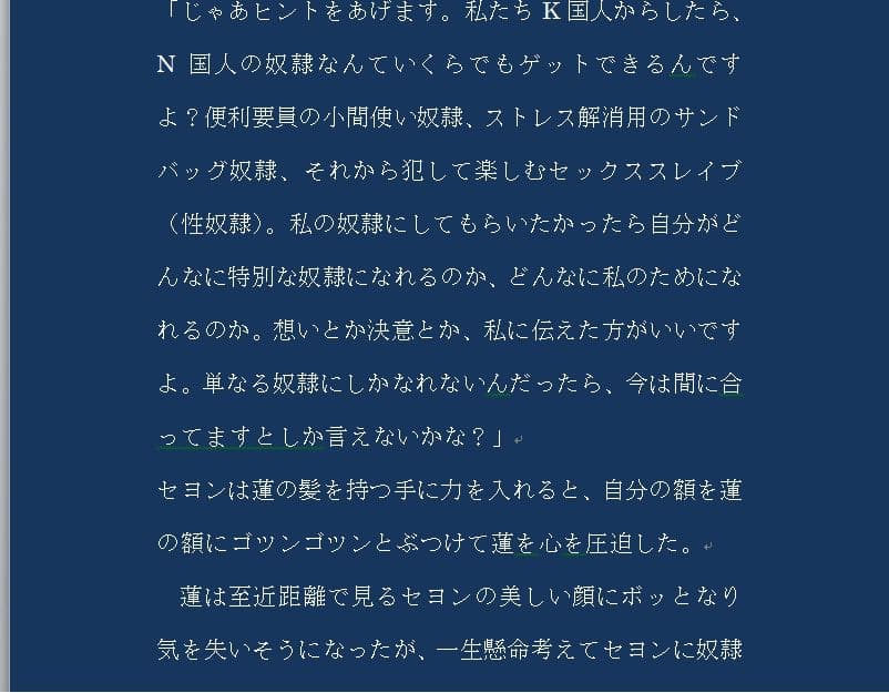 【M男向け】N国人がK国人を愛した時 サンプル 3