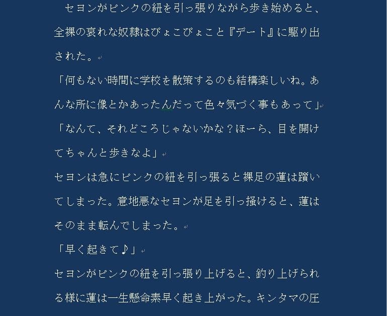 【M男向け】N国人がK国人を愛した時 サンプル 4