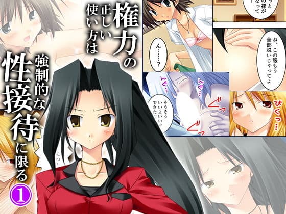 権力の正しい使い方は強●的な性接待に限る 1巻