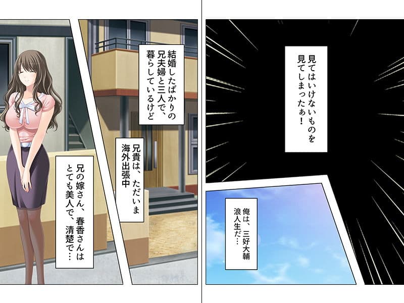 綺麗でHで欲求不満なお義姉さん サンプル 1