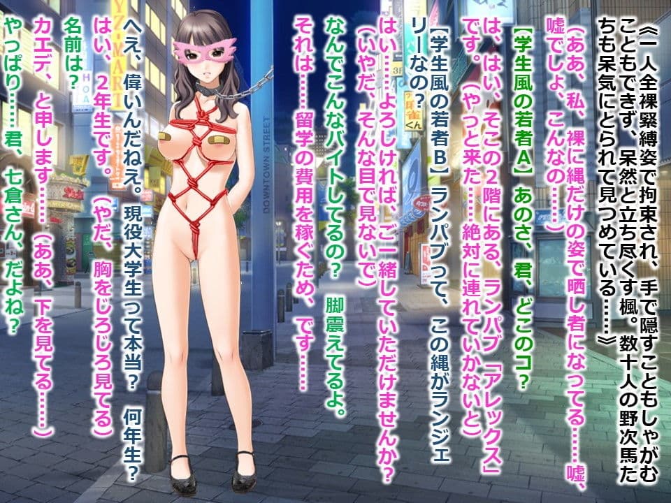 女子大生・楓2 〜露出調教編〜 サンプル 3