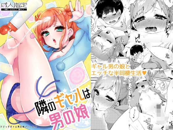 隣のギャルは男の娘