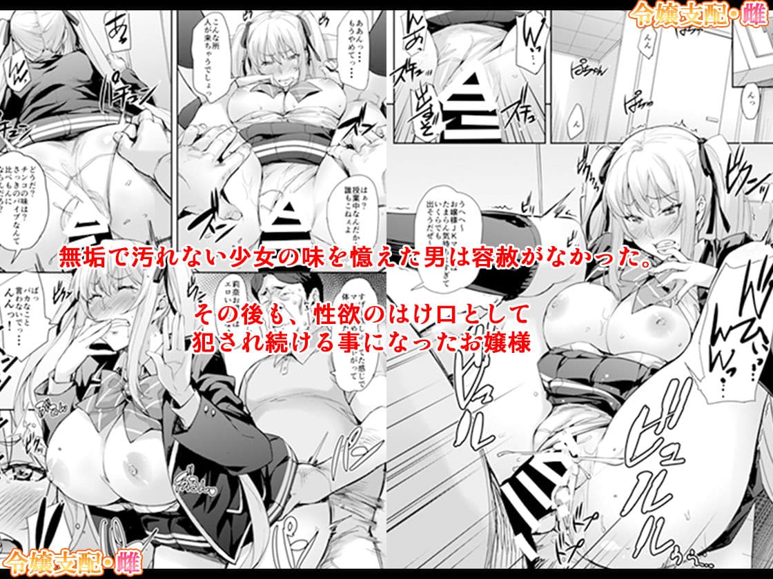 「令嬢支配 ＋ 令嬢支配・雌」セット サンプル 3