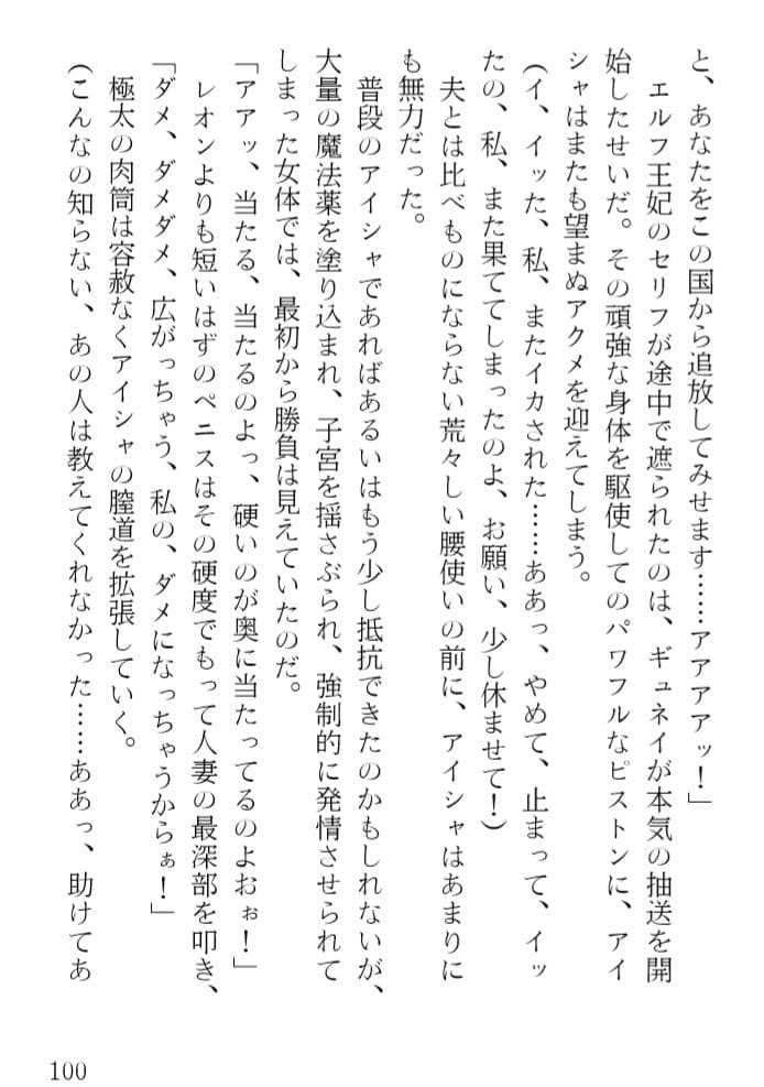 アイシャ 奪われたエルフ王妃 サンプル 4