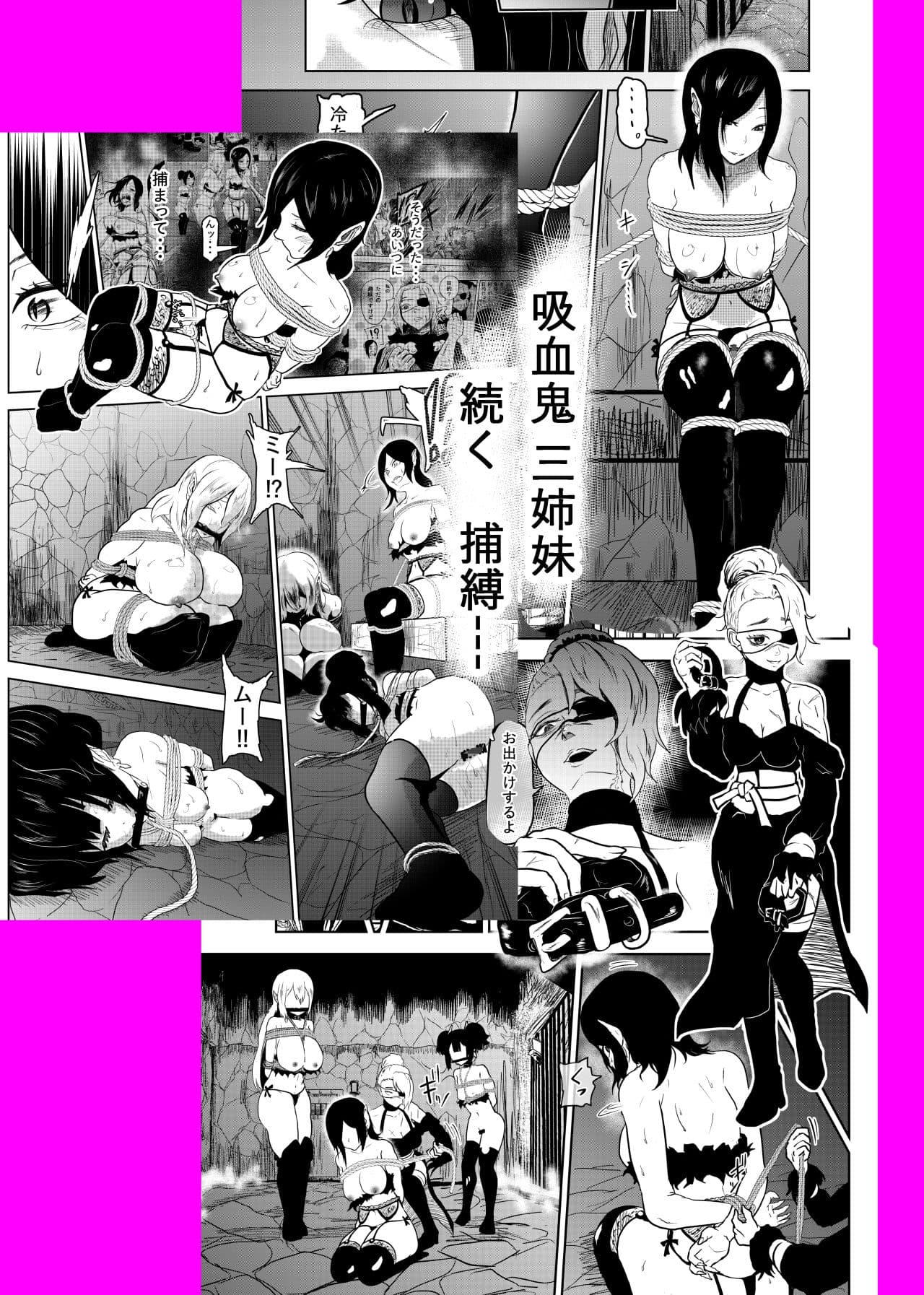 ヴァンパレイド4 〜吸血鬼 三姉妹 捕縛編〜 サンプル 2