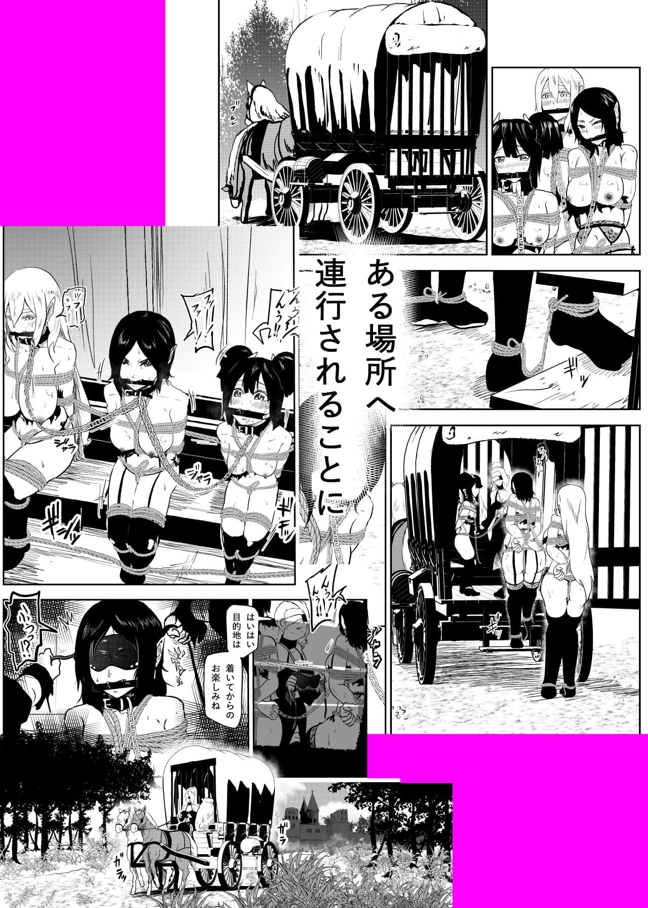 ヴァンパレイド4 〜吸血鬼 三姉妹 捕縛編〜 サンプル 4