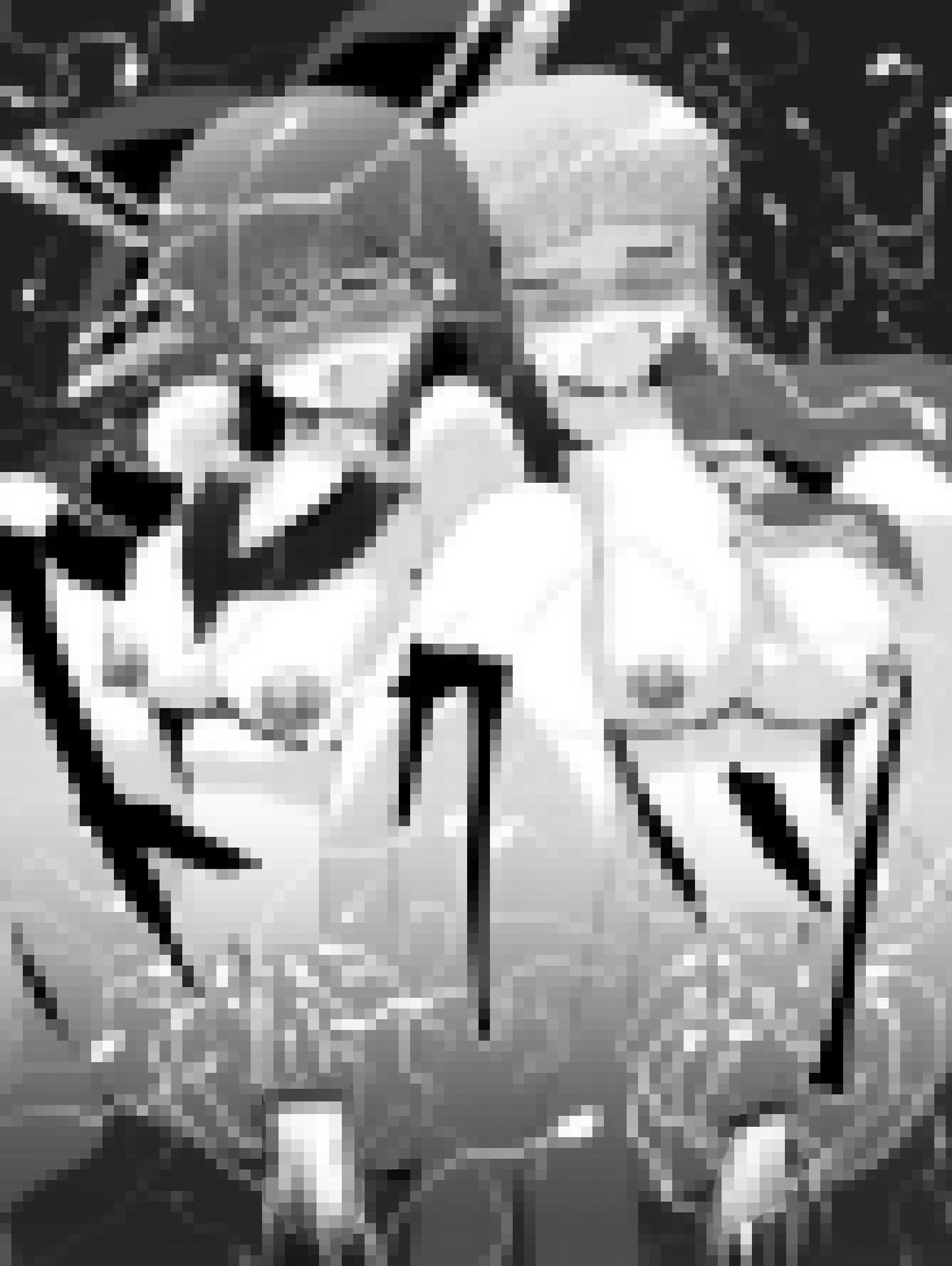 霊夢さんのきもちいいアルバイト サンプル 5