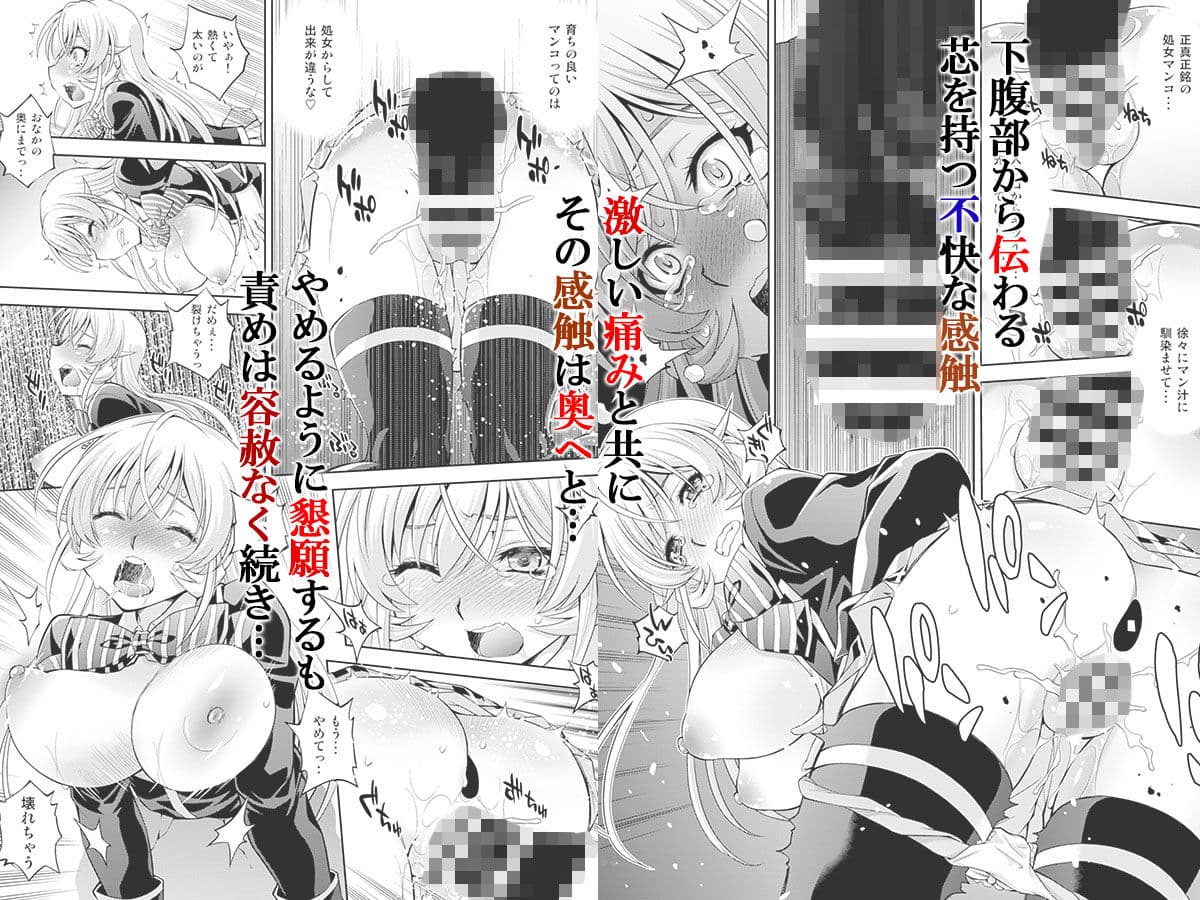 ハメられたエリナ様 サンプル 3