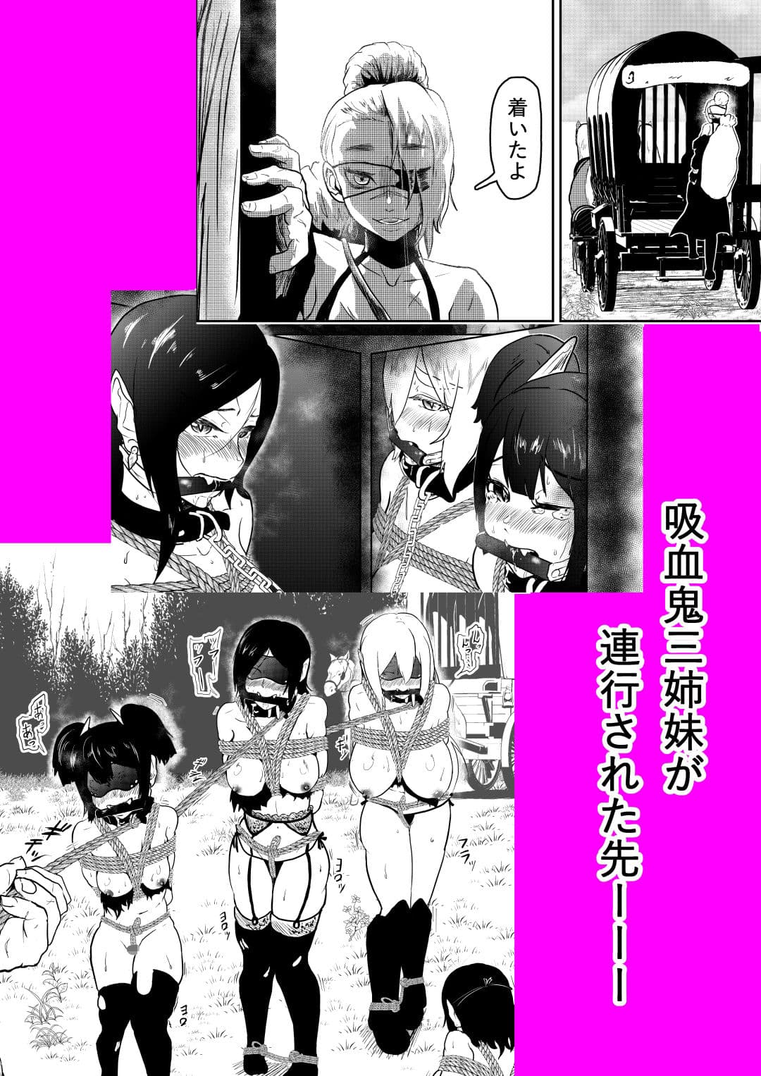 ヴァンパレイド5 〜吸血鬼 三姉妹 捕縛編〜 サンプル 2